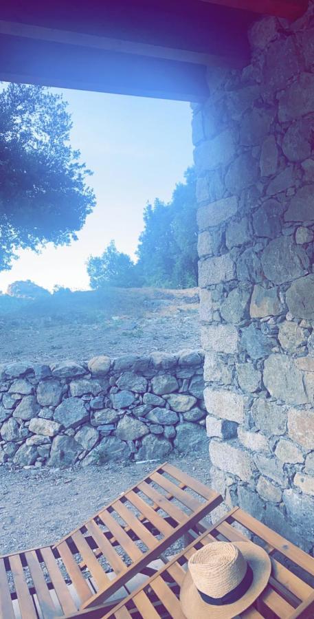 בית הארחה Omessa 	La Bergerie Du Chene מראה חיצוני תמונה
