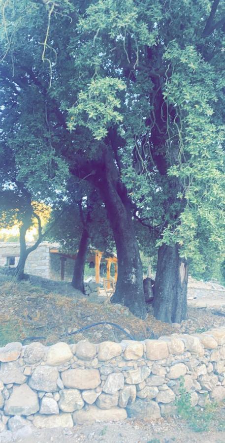 בית הארחה Omessa 	La Bergerie Du Chene מראה חיצוני תמונה